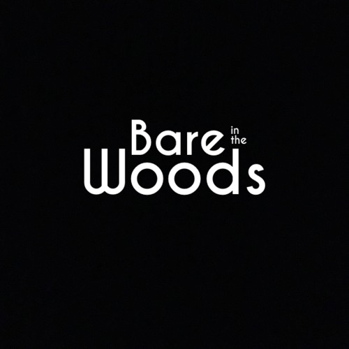 Bare in the Woods’s avatar