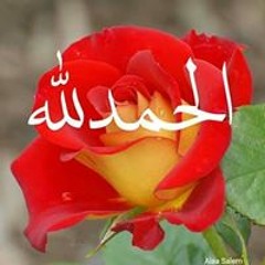 Safy Abdelaal