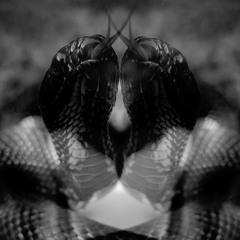 death is in the details