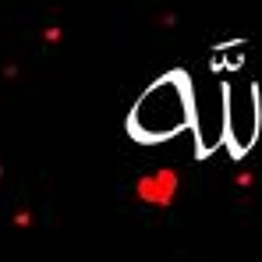 Noha Atef