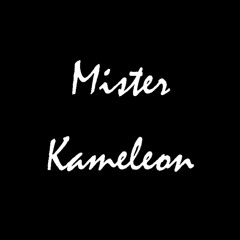 Mister Kameleon