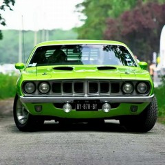 Car Enthusiast