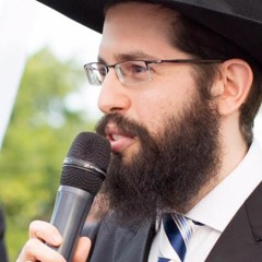 Rabino Ilan