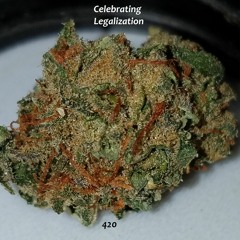 Zev4Twenty
