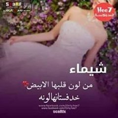 Shymaa Elgammal