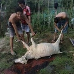 เถน แสงทาจัน