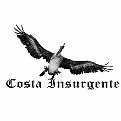 costa insurgente