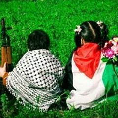 عمرو الروضي