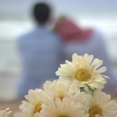 Novita Cahaya Kartika