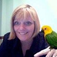 JoAnn Inchliffe
