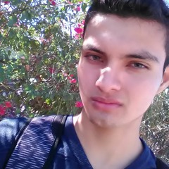 Marcius Marcus Suzumoto