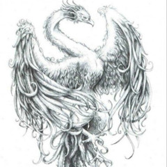 None of Your business