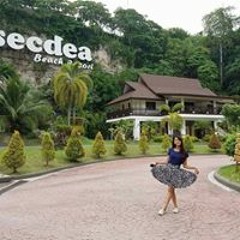 Ellen Joy Estacio