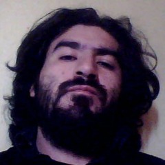 Gonzalo Andrés Navarrete