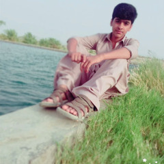 hshs