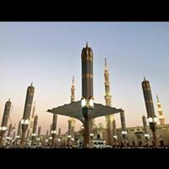 Warda Ibraheem