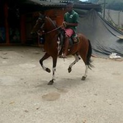 Marlon Oliveira