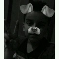 luis244