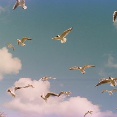 Cheap flights to anywhere