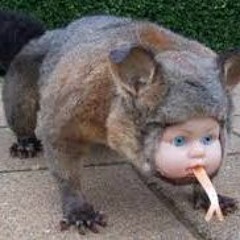 WildMikeyJ