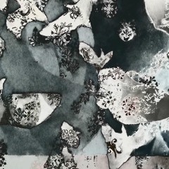 Collectif Caméramage