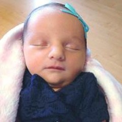 Jennifer Wright Lavender