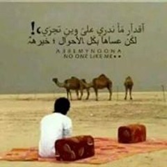 ابو مساعد الشيباني