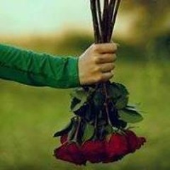 Zeinab Alkady