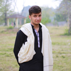 Hanza Abbasi