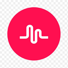 Musically Videos