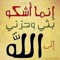 Wael Abosaif