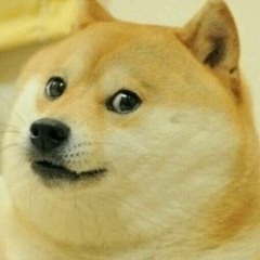 Doge