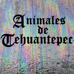 Animales de Tehuantepec
