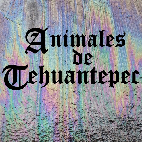 Animales de Tehuantepec’s avatar