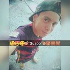 Dj Peligro 593