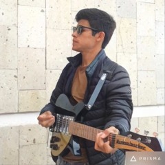 The Beatles Anna (Go to him) cover