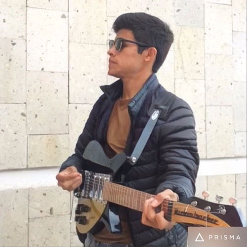 The Beatles Anna (Go to him) cover