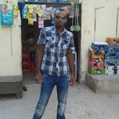 احمدانو الزيتون