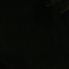 patttg0933