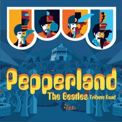 Pepperland Beatles Band