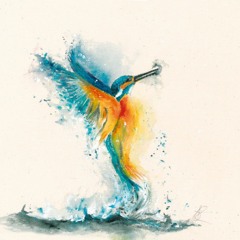 Kingfisher music