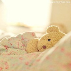 thelittlebear22