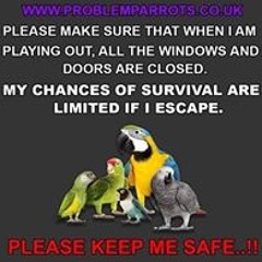 Dale Edwards Chookbook