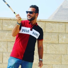 kareem seleem