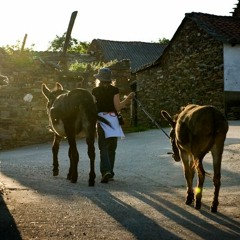 Malin Widen Anything But Perfect