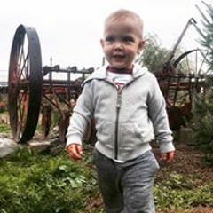 Shane Volvtech Ross