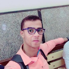 Ebrahim Kamel Eldsoky