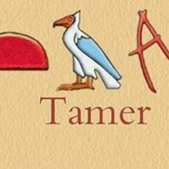 Tamer El Mahdy