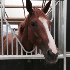 Monday Night Review #MNR