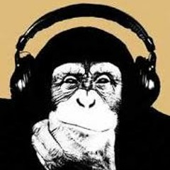 MonkeyCrazy